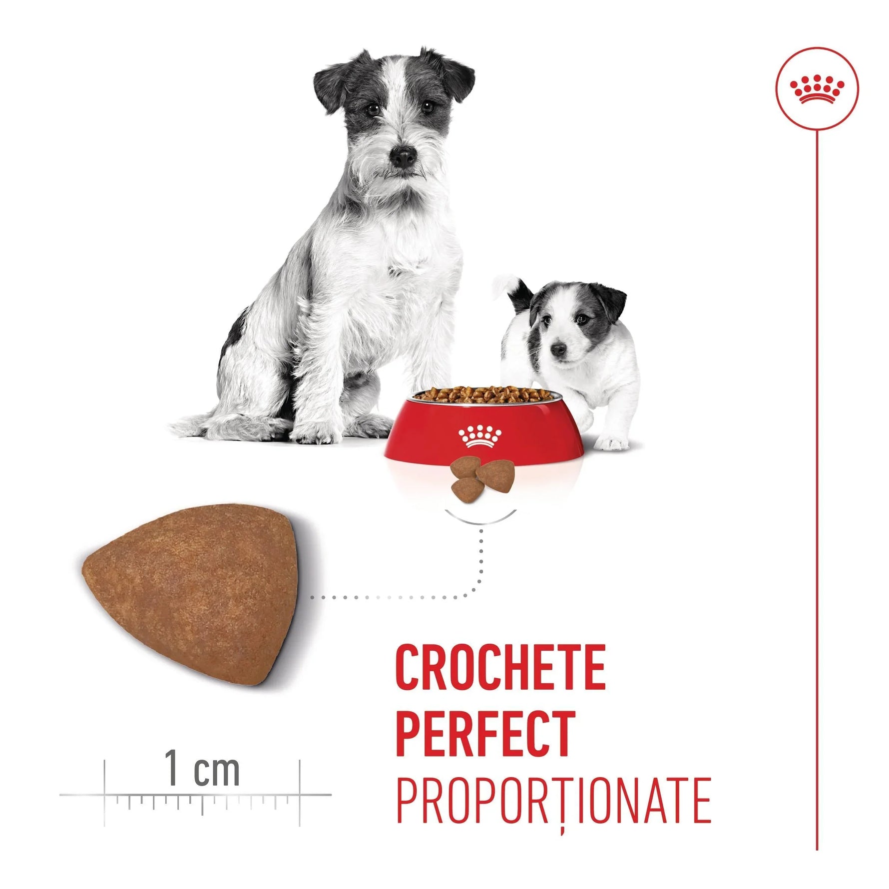 Adult dog and puppy with red dog bowl filled with kibble and triangular dry dog food close-up