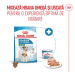 Royal Canin Starter Mini dry and wet puppy food for 1 to 2 months old small dogs up to 10kg