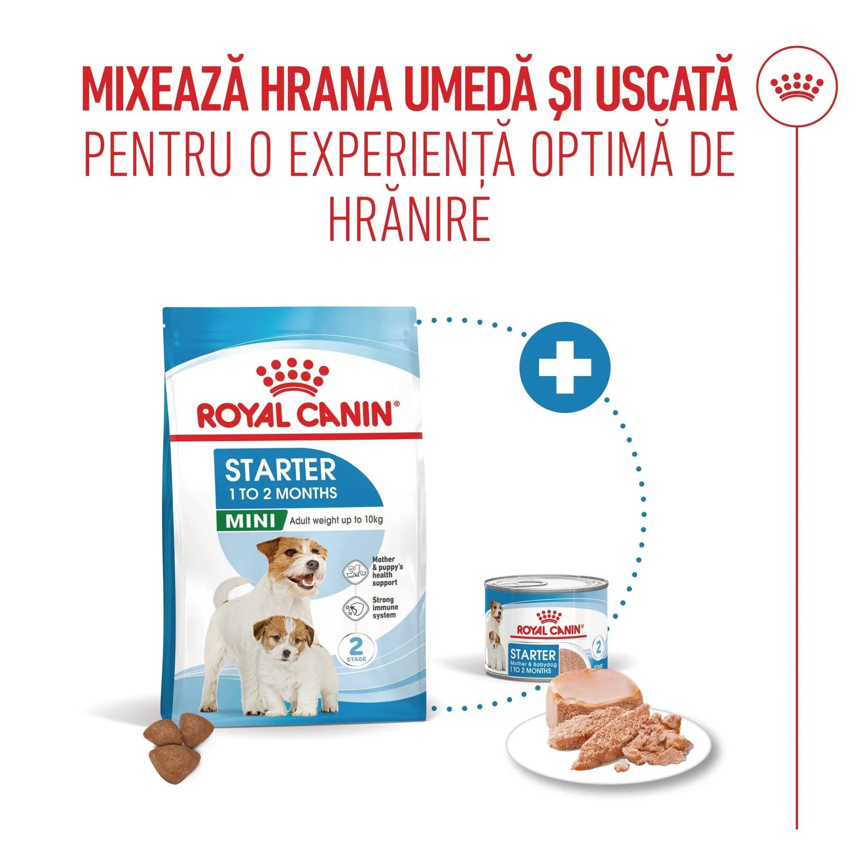 Royal Canin Starter Mini dry and wet puppy food for 1 to 2 months old small dogs up to 10kg