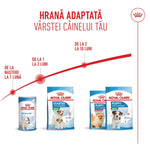 Royal Canin dog food range for puppies aged birth to 10 months, adapted for mini breeds