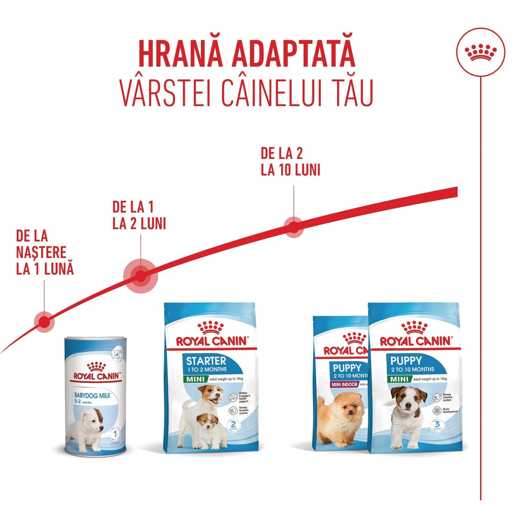 Royal Canin dog food range for puppies aged birth to 10 months, adapted for mini breeds