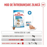Royal Canin Mini Starter dry and wet puppy food for 1-month-old small breed dogs with feeding guide