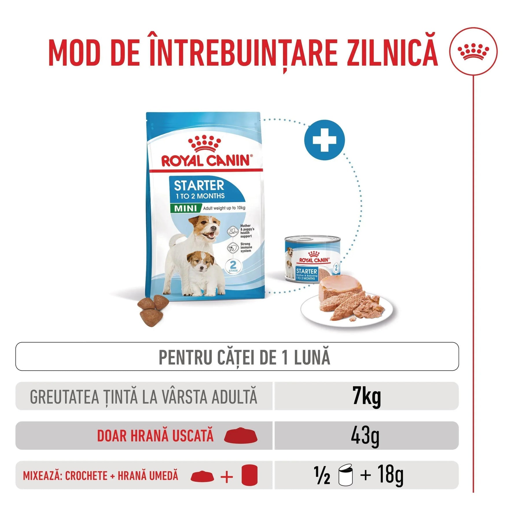 Royal Canin Mini Starter dry and wet puppy food for 1-month-old small breed dogs with feeding guide