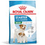 Royal Canin Mini Starter Mother & BabyDog, mama si puiul, hrana uscata caini