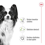 Royal Canin X-Small Adult hrana uscata caine
