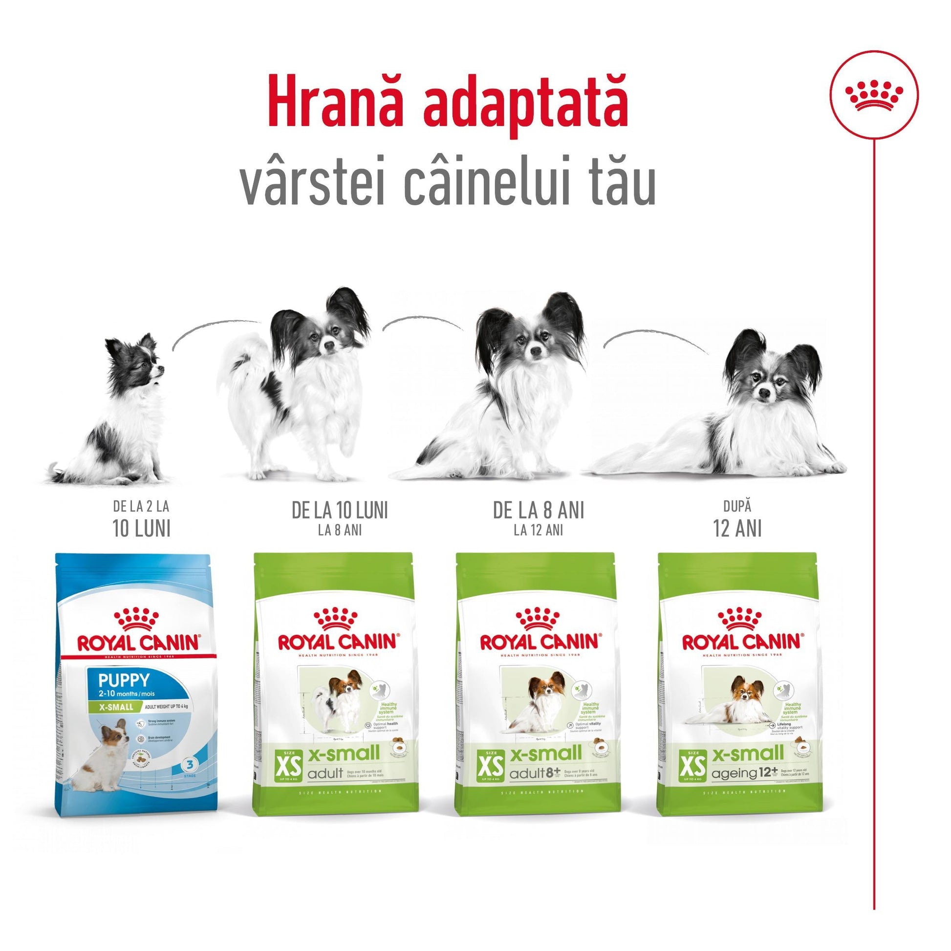 Royal Canin X-Small Adult hrana uscata caine