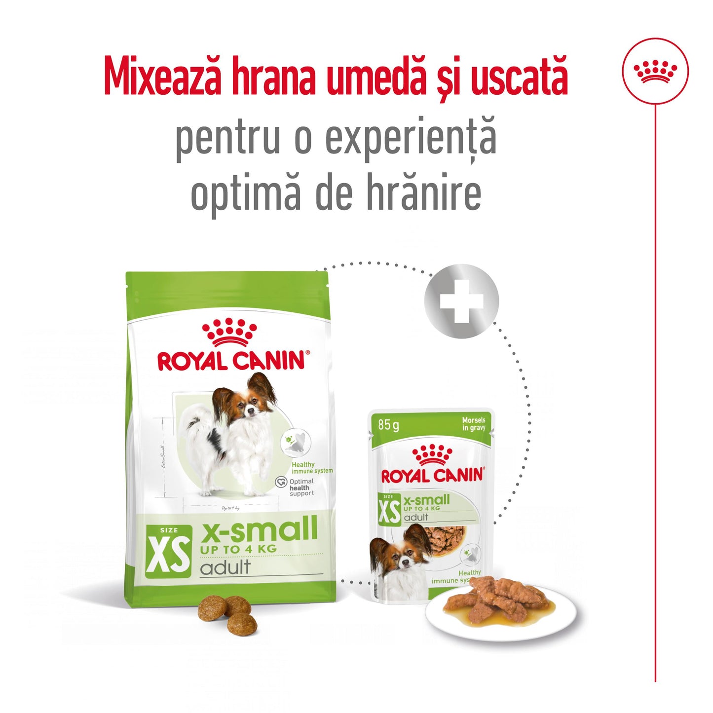 Royal Canin X-Small Adult hrana uscata caine
