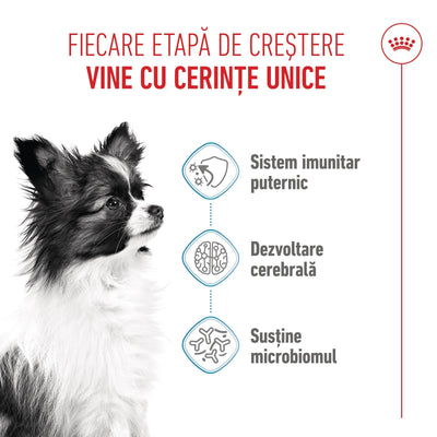 Royal Canin X-Small Puppy hrana uscata caine junior, 500 g