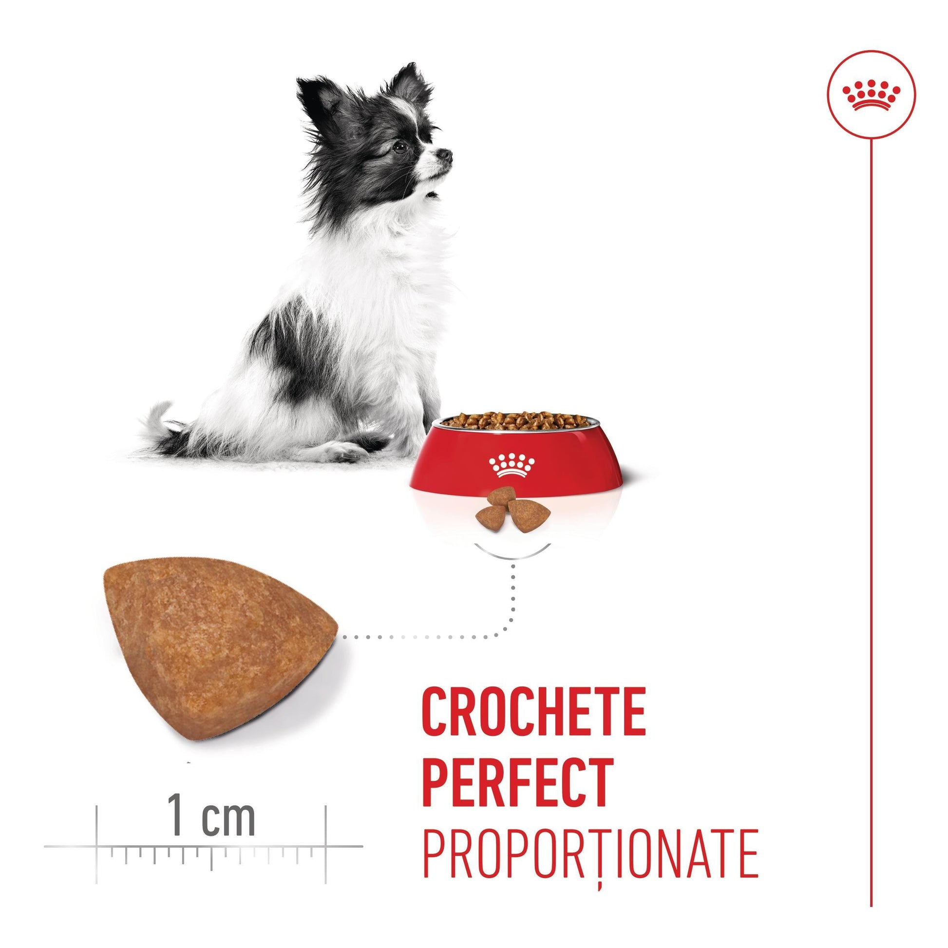 Royal Canin X-Small Puppy hrana uscata caine junior, 500 g