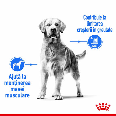 Royal Canin Maxi Light Weight Care Adult hrana uscata caine, limitarea cresterii in greutate