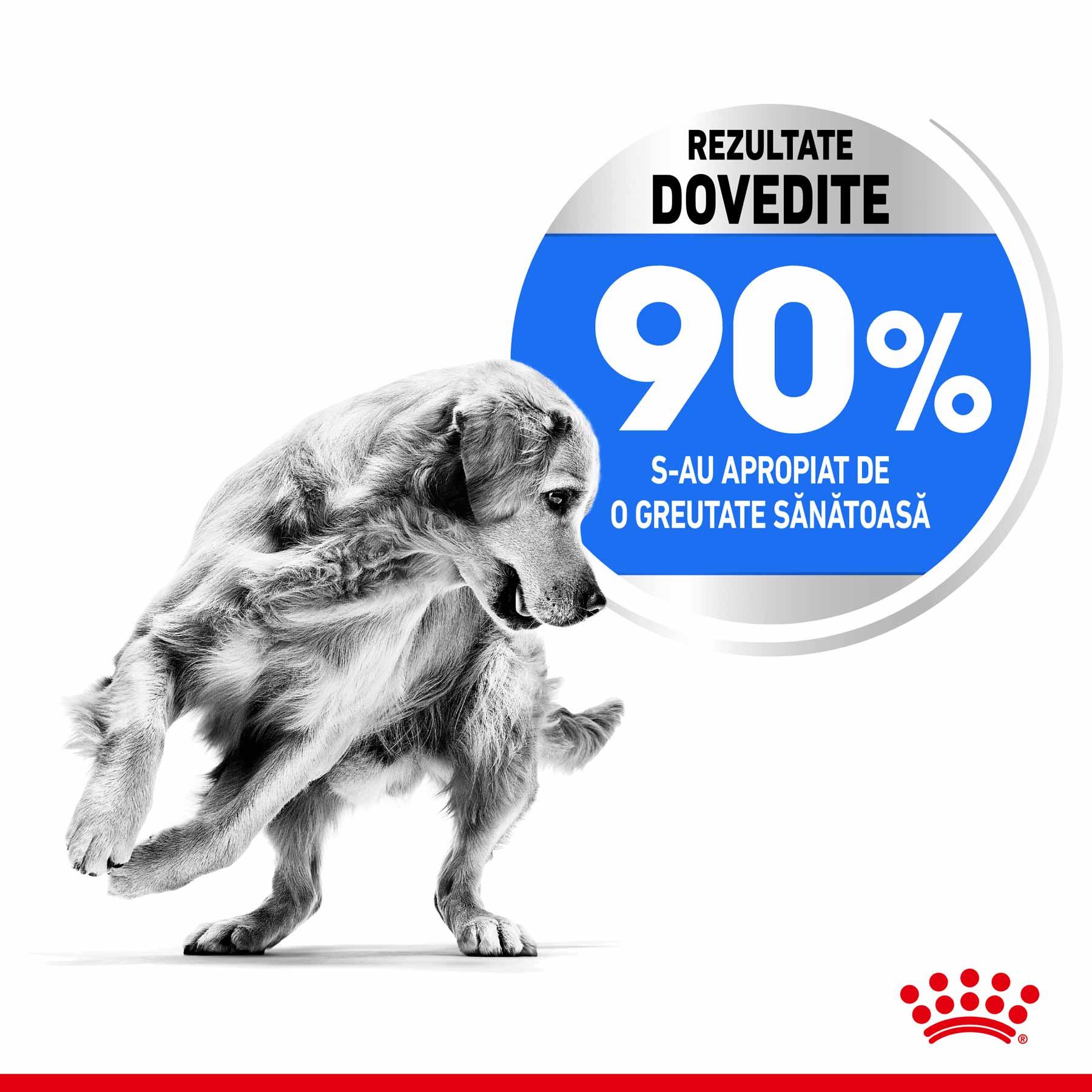 Royal Canin Maxi Light Weight Care Adult hrana uscata caine, limitarea cresterii in greutate