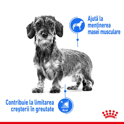 Royal Canin XSmall Light Weight Care Adult hrana uscata caine, limitarea cresterii in greutate