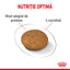 Royal Canin XSmall Light Weight Care Adult hrana uscata caine, limitarea cresterii in greutate