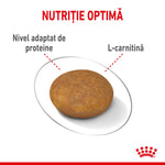 Royal Canin XSmall Light Weight Care Adult hrana uscata caine, limitarea cresterii in greutate