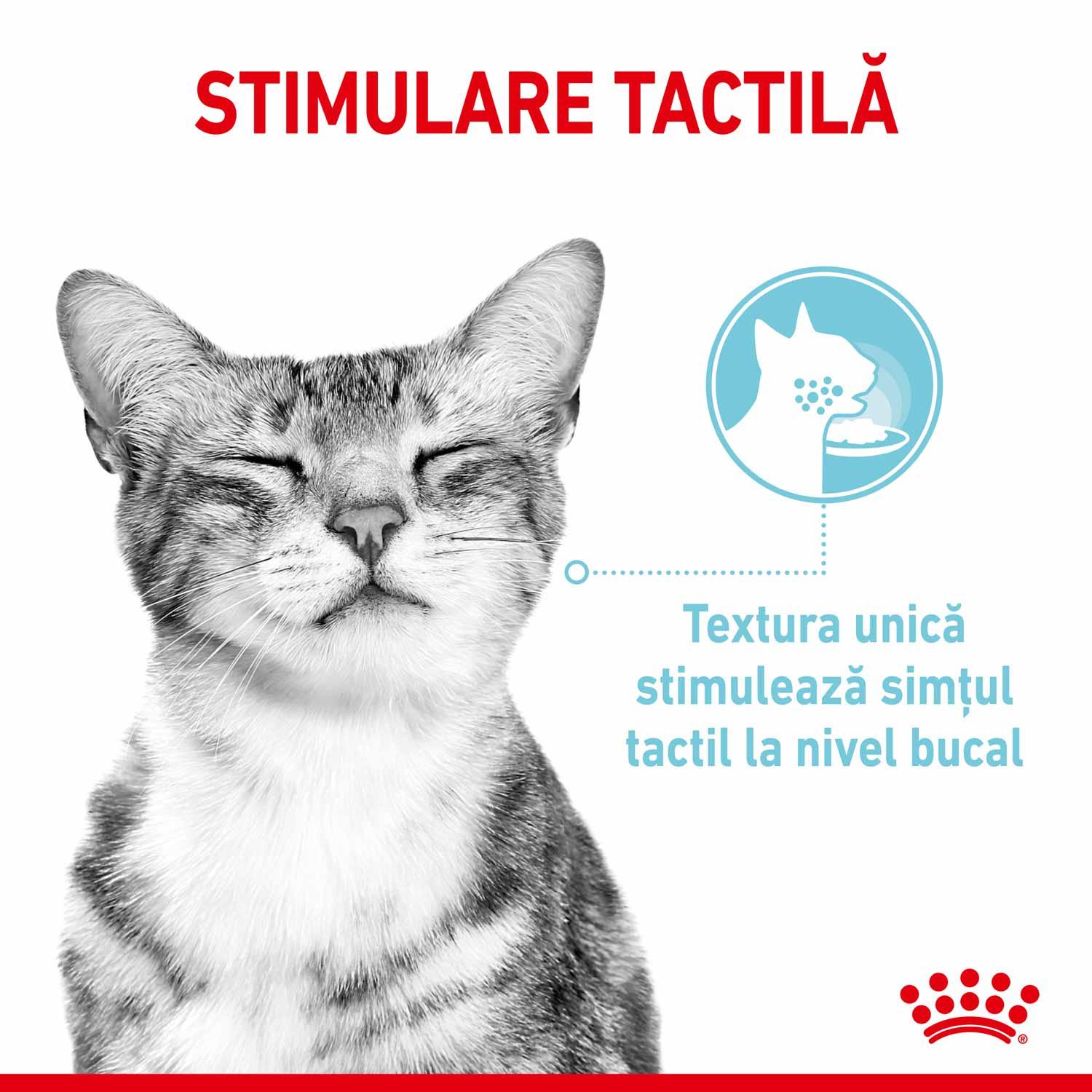 Close-up of content grey tabby cat with closed eyes, Romanian text about tactile stimulation and unique texture