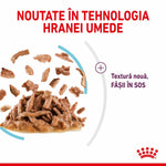 Romanian wet food technology with new texture meat strips in sauce by Royal Canin