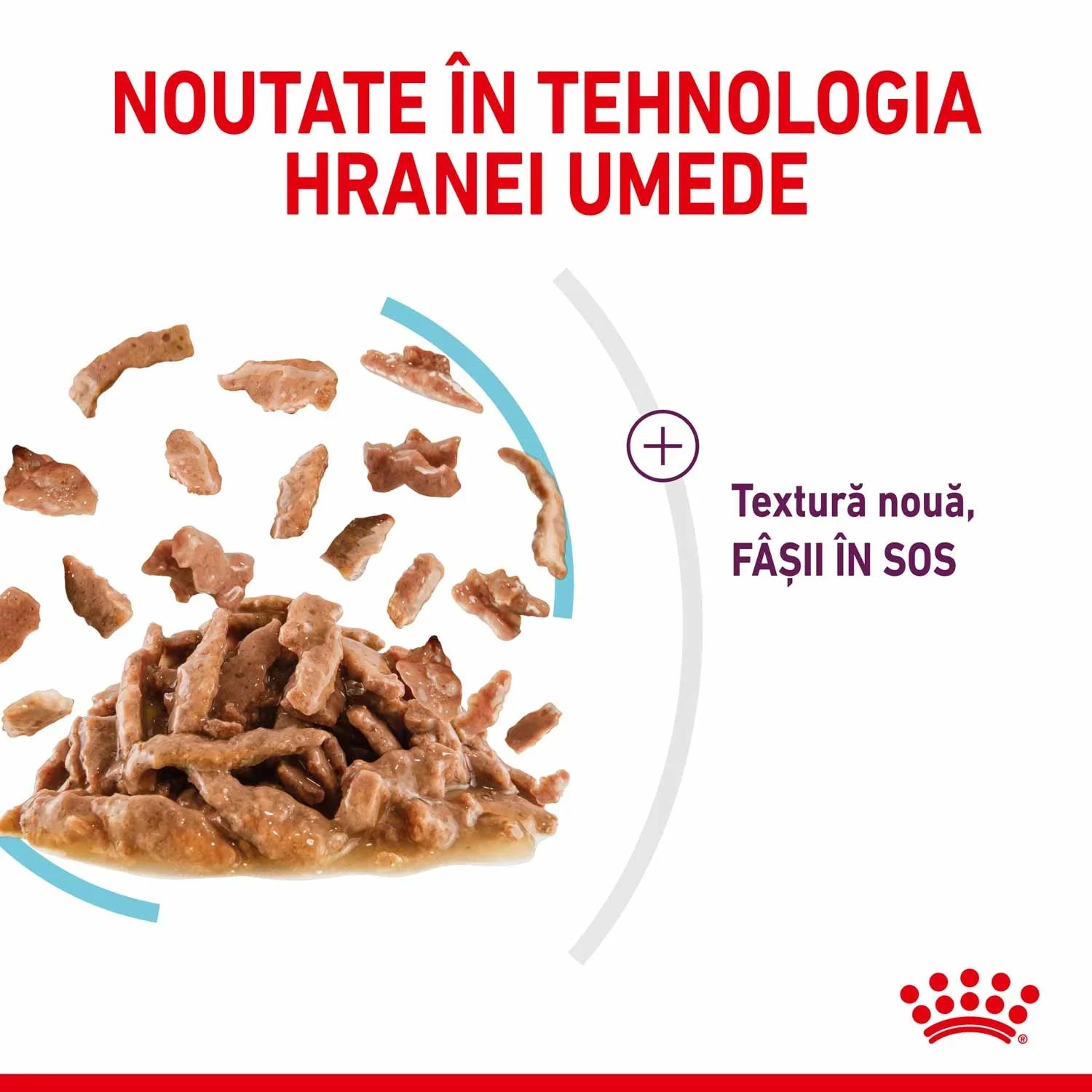 Romanian wet food technology with new texture meat strips in sauce by Royal Canin