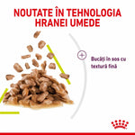 Wet food chunks in fine textured sauce with Romanian text about new moist food technology