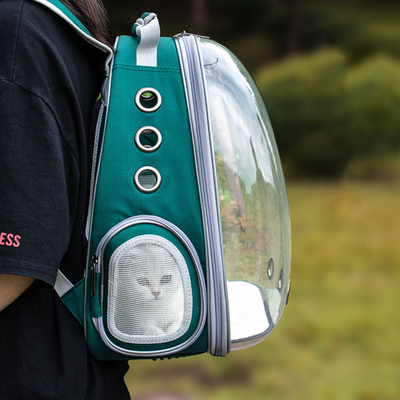 Rucsac transparent pentru transport pisica