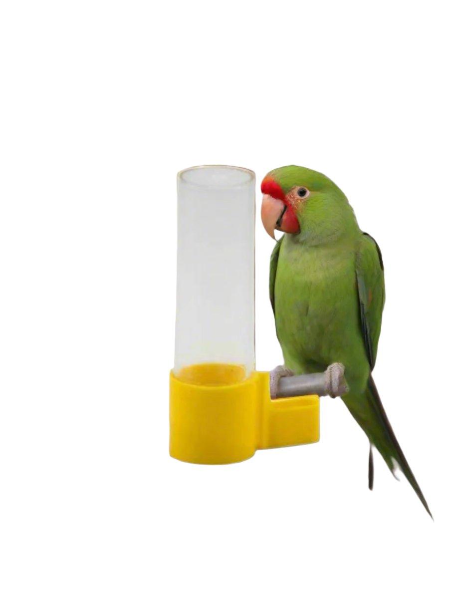 Green parakeet with red beak perched on yellow bird water dispenser