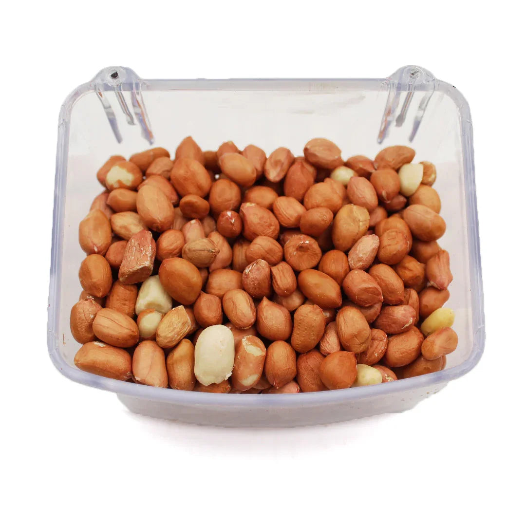 Clear plastic container filled with raw shelled peanuts on a white background