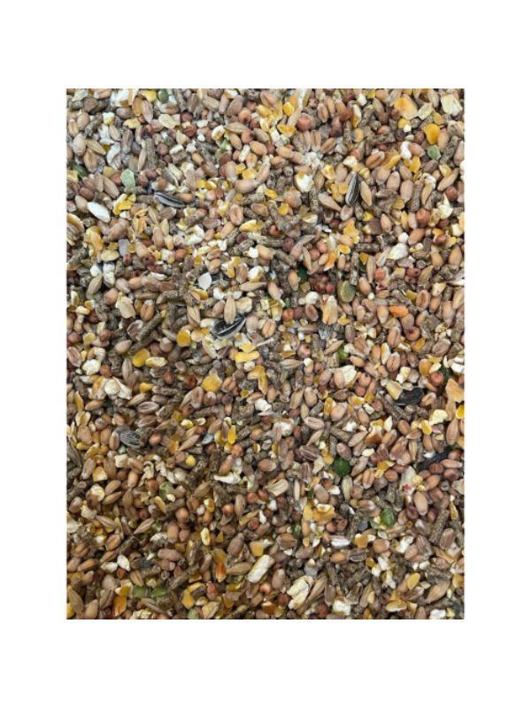Close-up of mixed grains and seeds blend for bird feed including corn, wheat, sunflower seeds, and pellets