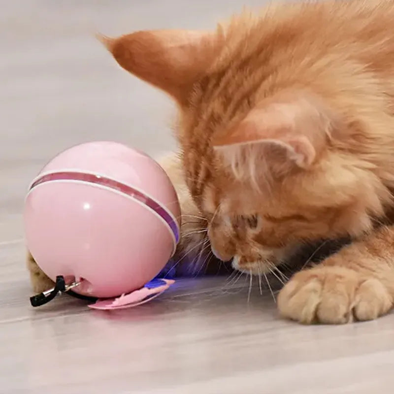 Jucarie Smart Ball Reincarcabila, cu accesoriu