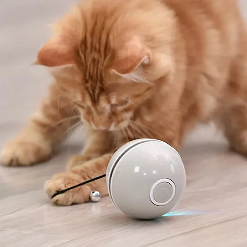 Jucarie Smart Ball Reincarcabila, cu accesoriu