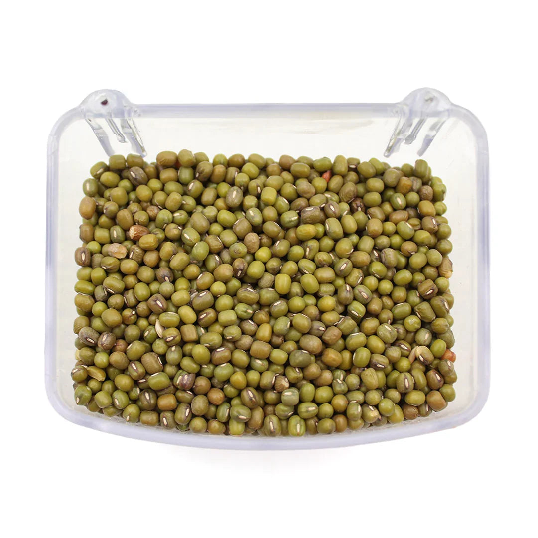 Green mung beans in a clear plastic container on white background