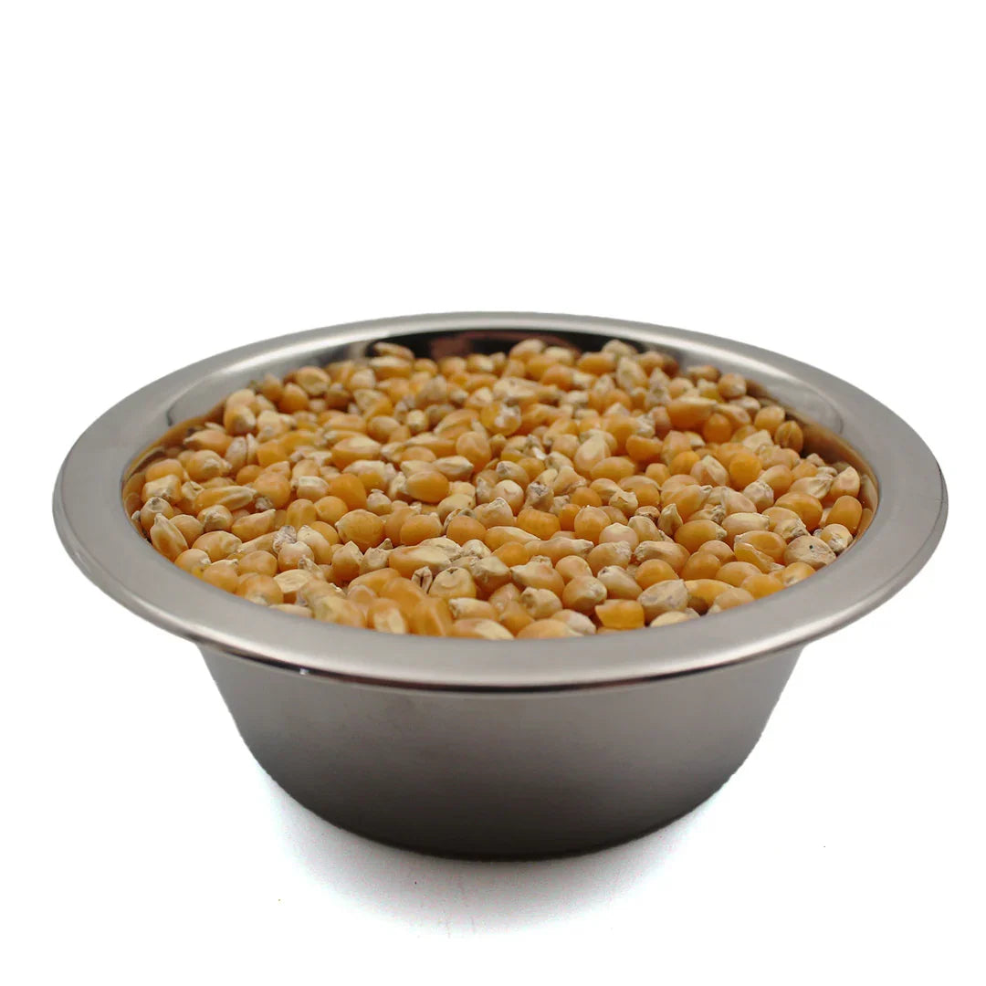Close-up of a metal bowl filled with yellow popcorn kernels on a white background