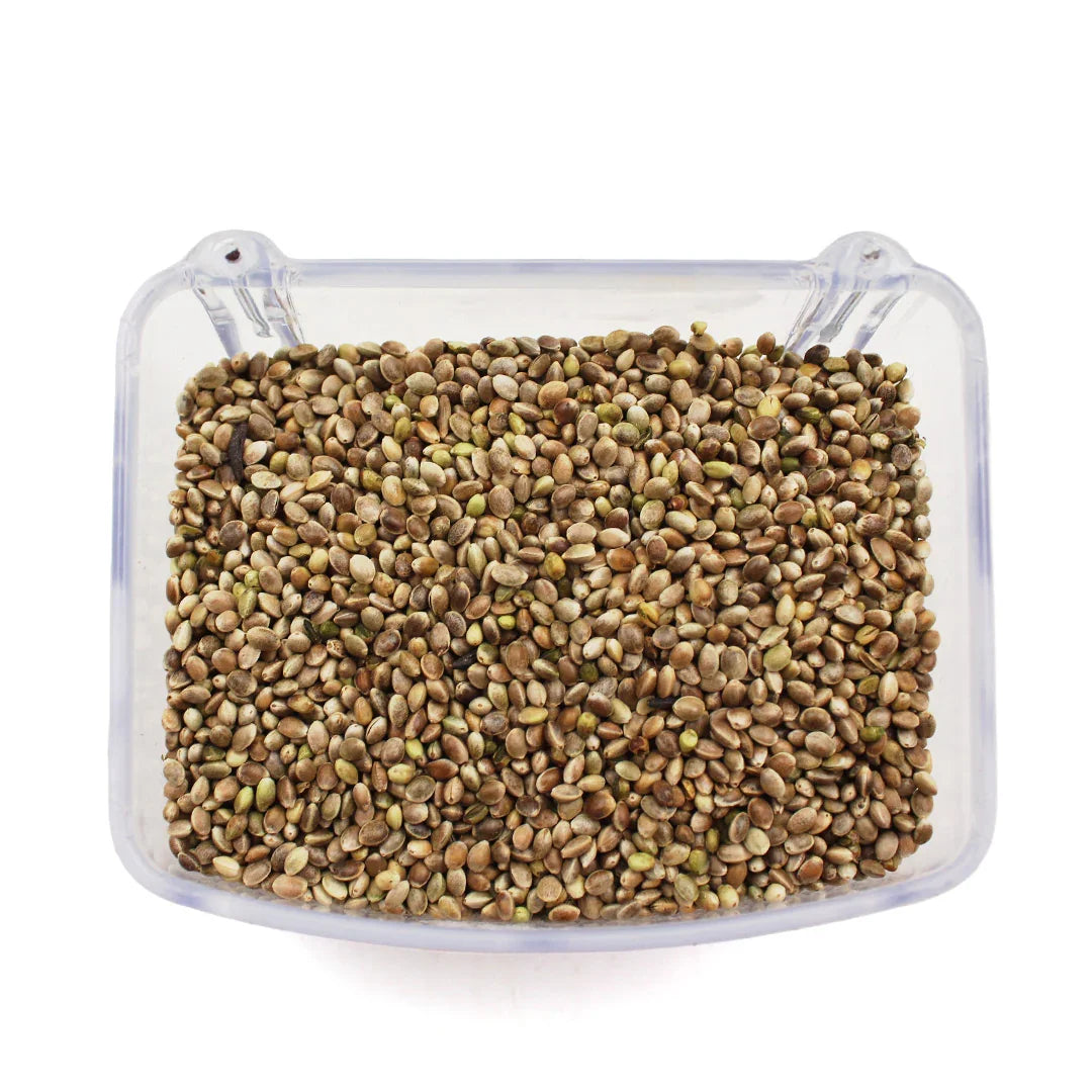Transparent rectangular container filled with mixed brown and green bird seeds on white background