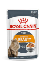 Royal Canin Intense Beauty cat wet food pouch for healthy skin and coat, 85g