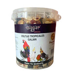 Plastic container of Galian dried tropical fruits for pet birds with colorful bird illustrations