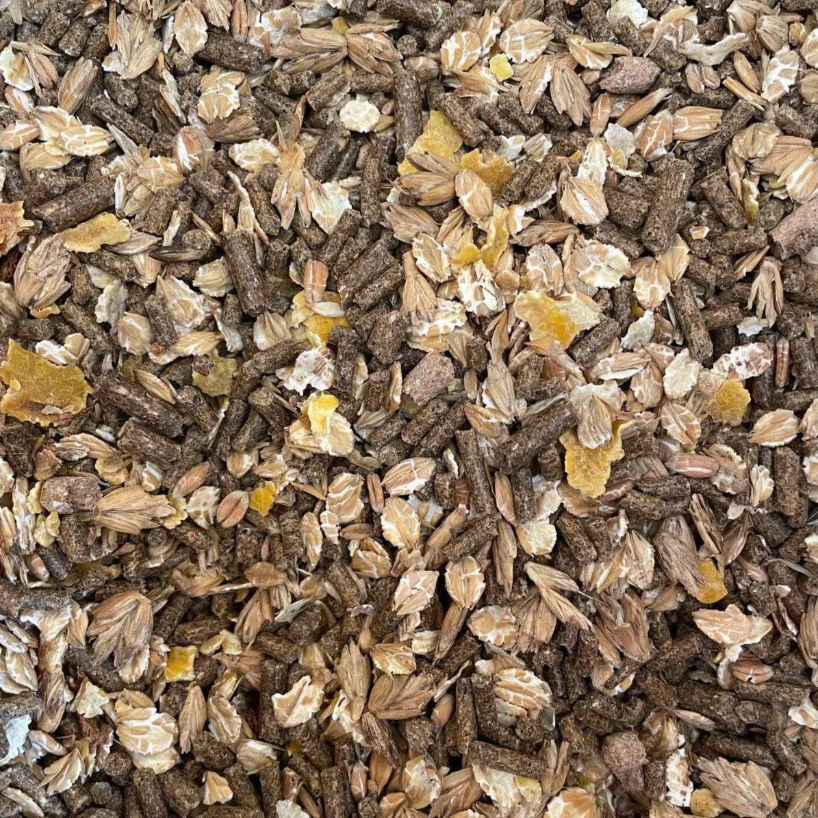 Close-up of mixed animal feed with pellets, oats, and grains for goats