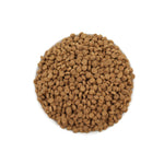 White bowl filled with round brown dry dog food pellets on white background
