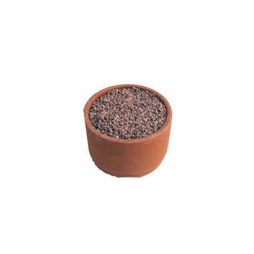 Grit rosu Ostrea in vas de ceramica - DalisPet
