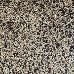 Close-up of mixed canary seed bird food with various small beige, black, and brown seeds