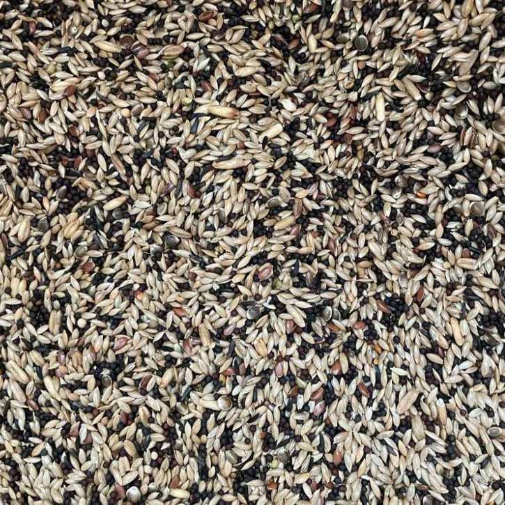 Close-up of mixed canary seed bird food with various small beige, black, and brown seeds