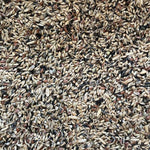 Close-up of mixed birdseed blend with various small seeds in natural colors