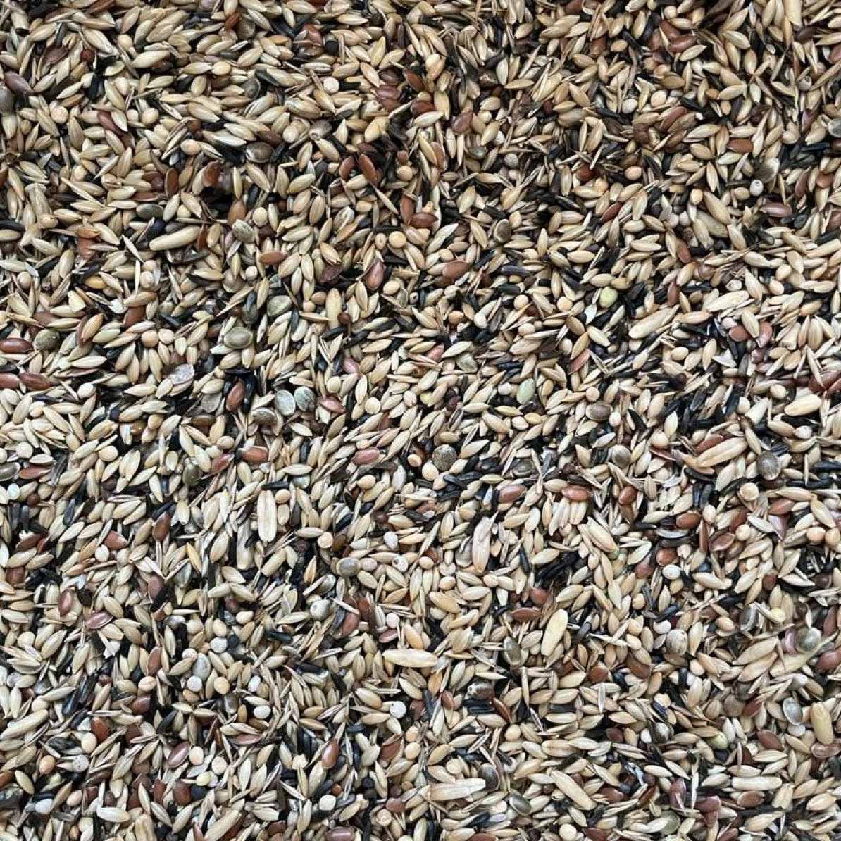 Close-up of mixed birdseed blend with various small seeds in natural colors