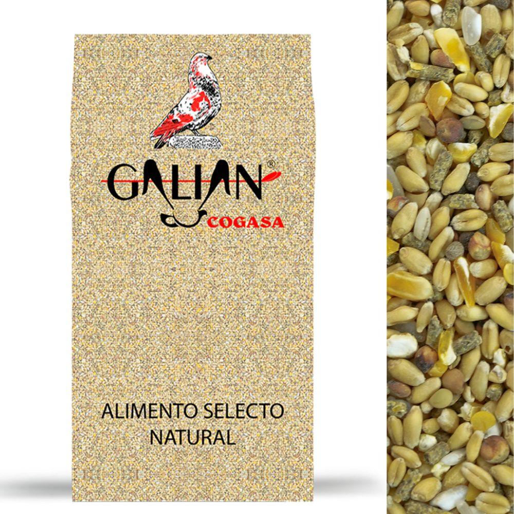 Hrana pentru porumbei si pasari Galian 20 kg - DalisPet