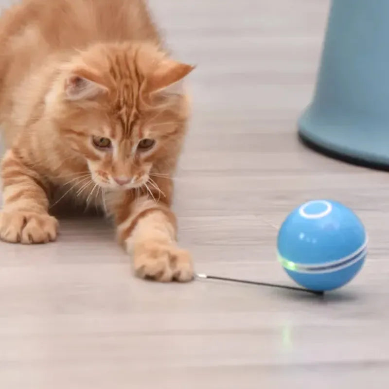 Jucarie Smart Ball Reincarcabila, cu accesoriu