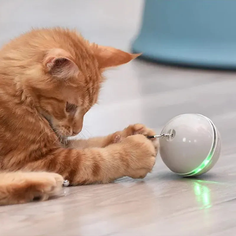 Jucarie Smart Ball Reincarcabila, cu accesoriu