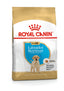 Royal Canin Labrador Puppy hrana uscata caine junior