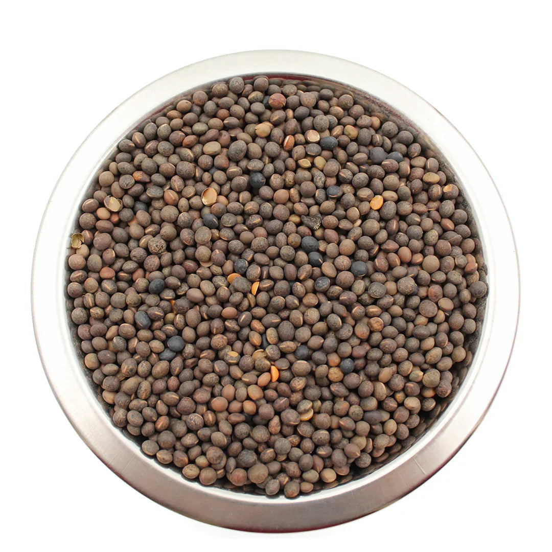 Close-up of a metal bowl filled with dark brown bird seeds on a white background
