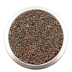 Close-up of a metal bowl filled with dark brown bird seeds on a white background