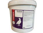 10 kg white bucket of Ostrea Chlorella mix mineral feed for pigeons with purple and red label