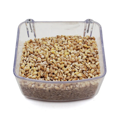 Boabe de orz decorticat – alimentație naturală