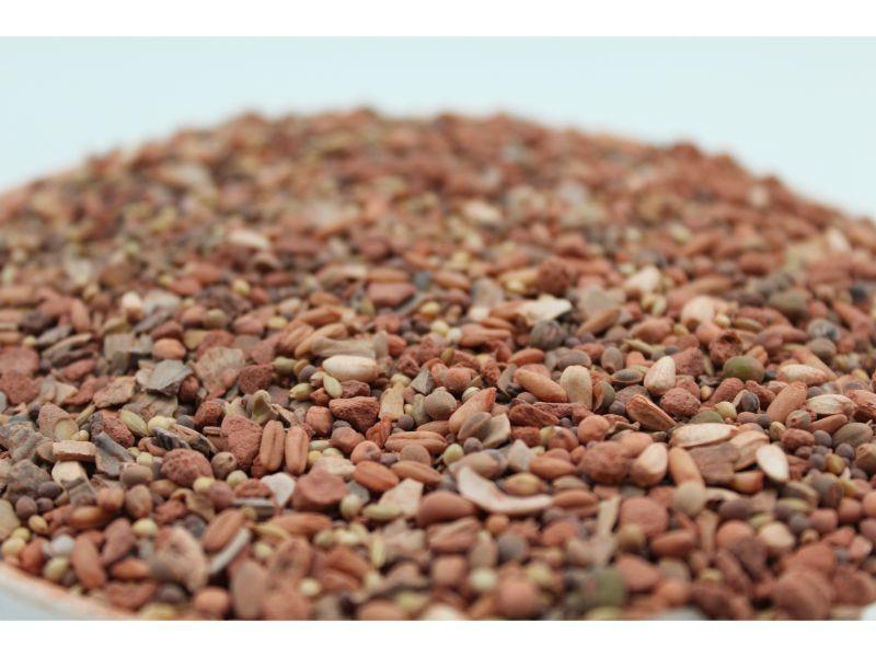 Close-up of reddish mineral rock granules and mixed small seeds on a white surface