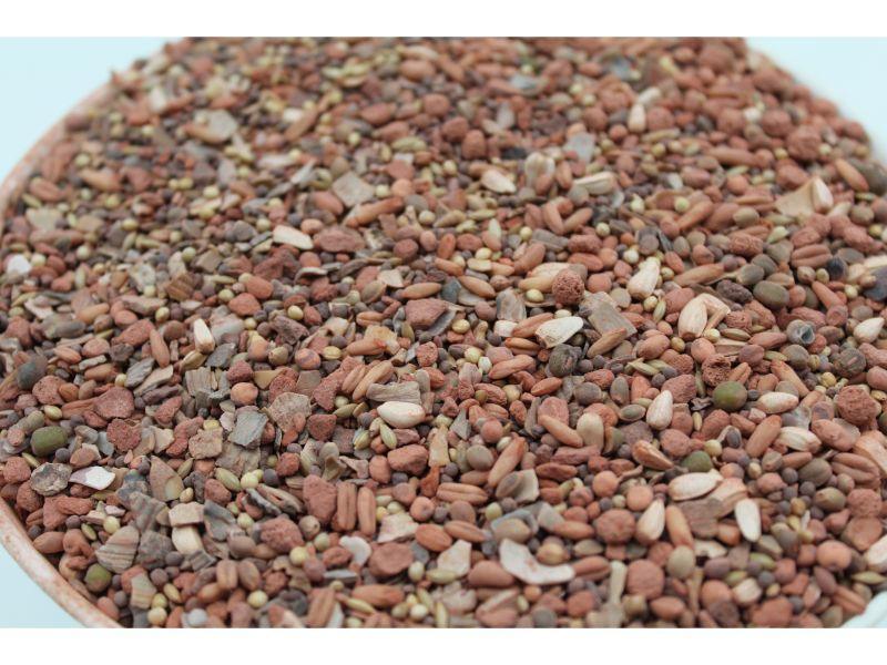 Close-up of a mixed organic soil mineral fertilizer with various small red, brown, and green particles